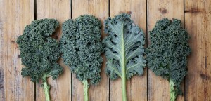 kale-supealiment-chou-vert-benefices-nutrition